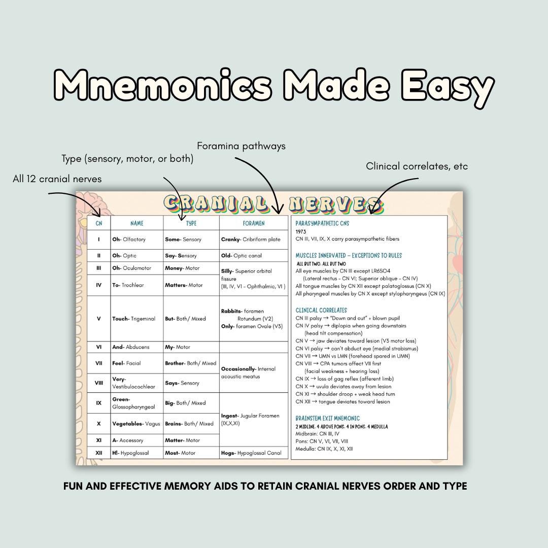 Cranial Nerve Cheat Sheet: Mnemonics, Anatomy Study Guide (PDF ...