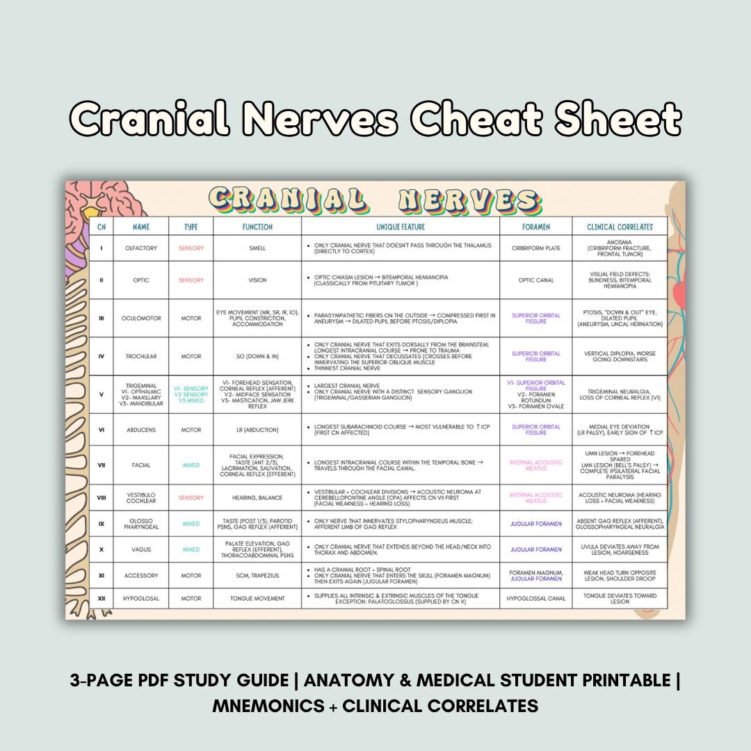 健康・医学 Cranial Participant Guide Cranial Nerve Cheat Sheet: Mnemonics, Anatomy Study Guide (PDF