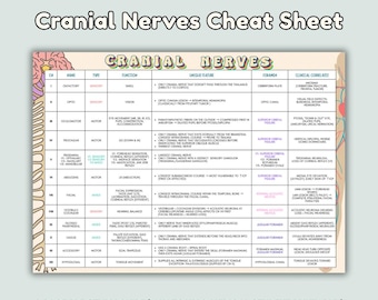 May include: A printable study guide titled "Cranial Nerves Cheat Sheet" with a detailed chart of cranial nerves, their functions, and clinical correlations. The guide is designed for anatomy and medical students, featuring mnemonics and clinical correlates.