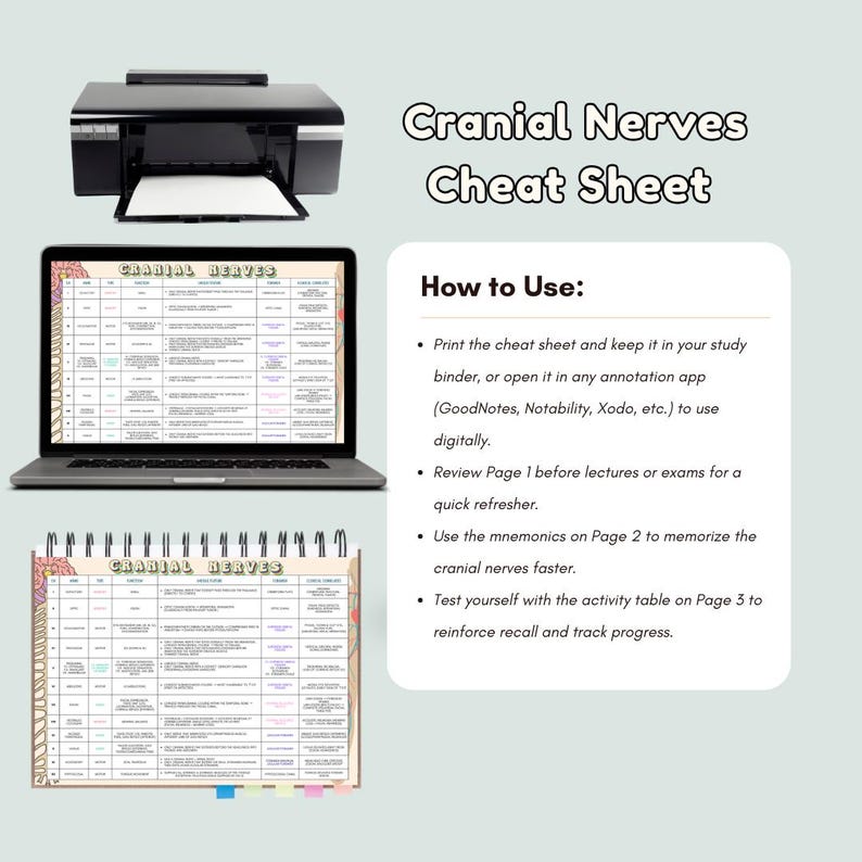 Cranial Nerve Cheat Sheet: Mnemonics, Anatomy Study Guide (PDF ...