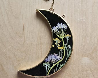 Framed pressed botanicals