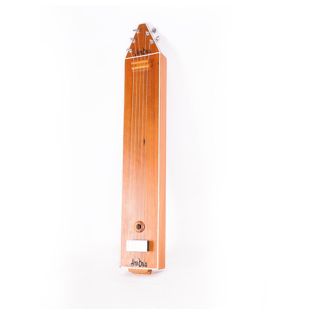 Indian Professional Box Tanpura 4 String Musical Instrument With Bag ...