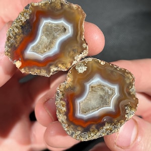 May include: Two halves of a polished agate stone, showcasing concentric bands of color. The center is a light tan, surrounded by white, orange, and brown layers. The outer edges have a rough, textured appearance.