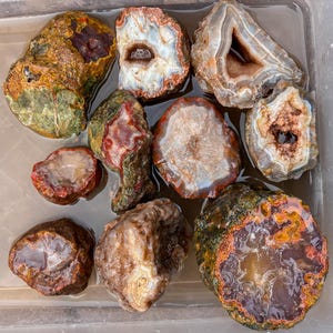 May include: A collection of ten raw agate stones submerged in water. The stones display varied textures, including rough, mossy green and brown exteriors, translucent banded centers, and hollow geode cavities with crystalline formations in white, orange, and red.
