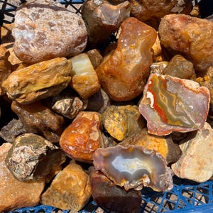 May include: A collection of raw agate stones in various shades of amber, orange, and brown. Several stones feature visible banding, translucent crystalline centers, and smooth, polished-looking surfaces with natural cracks and irregular shapes.