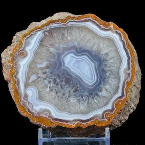 Puede incluir: Una rodaja de geoda de ágata pulida con bandas concéntricas de blanco, gris translúcido y naranja vibrante. El centro muestra una cavidad cristalina rodeada de intrincadas capas minerales onduladas, todo dentro de una roca exterior marrón natural.