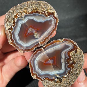 May include: Two halves of a polished agate stone, showcasing concentric bands of color. The center features a deep reddish-brown hue, surrounded by white, and a textured, earthy exterior. The stone is held in a person's hands.