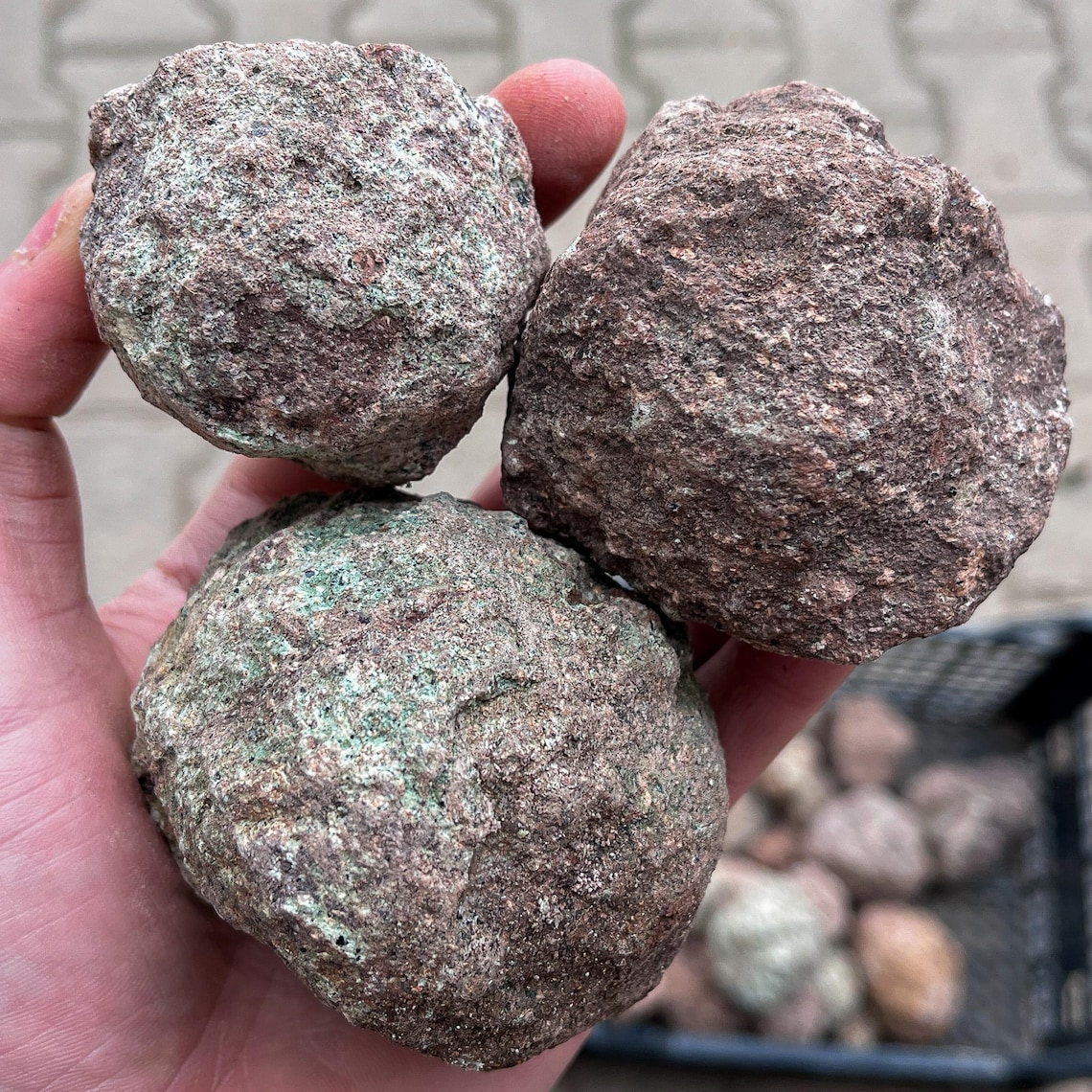 Geode Rough Stone Raw Agates From Poland 1lb to 20lbs, Nowy Głos Thundereggs, Natural ...