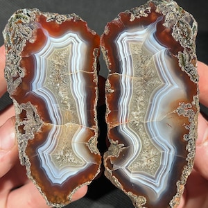 May include: Two halves of a polished agate stone, showcasing concentric bands of color. The stone features a rich palette of reddish-brown, white, and gray hues, with a crystalline center. The rough edges contrast with the smooth, polished interior.