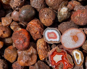 Puede incluir: Una colección de rocas crudas y sin pulir de color marrón y naranja mezcladas con varias rodajas de ágata pulidas. Las rodajas muestran bandas concéntricas de blanco, rojo y naranja translúcido, contrastando con las superficies rugosas de las piedras.
