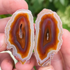 May include: Two halves of a polished agate stone, showcasing concentric bands of orange, brown, and white. The stone's natural patterns are visible, with a central cavity in each half. The edges have a rough, natural texture.