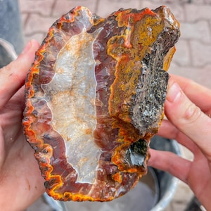 Puede incluir: Un espécimen de ágata pulida con un núcleo central de cuarzo blanco translúcido rodeado por bandas vibrantes de color naranja, rojo y marrón oscuro. El borde exterior muestra una corteza mineral marrón oscura, rugosa y texturizada.