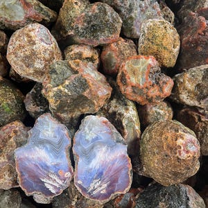 Peut inclure: Une collection de pierres précieuses brutes et non coupées de différentes tailles et couleurs. Les pierres présentent un mélange de tons terreux, notamment des bruns, des rouges et des verts, certaines présentant des motifs internes bleus et violets saisissants.