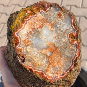 Op de afbeelding: Een gepolijste agaat geode plak met een doorschijnend wit en oranje kristallijn centrum, omringd door concentrische banden van donkerrood, gebrand oranje en bruin. De buitenrand van de steen blijft in zijn natuurlijke, ruwe en getextureerde staat.