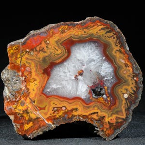 May include: A cross-section of a polished agate stone, showcasing concentric bands of color. The stone features a central white crystalline area surrounded by layers of orange, yellow, and red hues. The outer edge is a rough, gray-brown. The overall shape is irregular.
