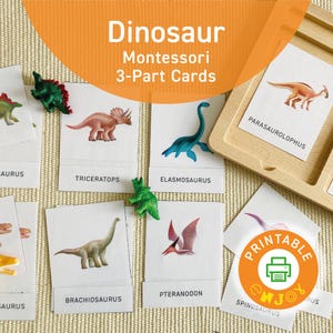 8 Dinosaurier 3-teilige Karten, Montessori-Karten, Dino-Karten, Dinosaurier-Aktivität, Lerndrucke, Montessori-Drucke, Kinderaktivitäten