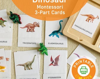 Dinosaur Montessori Cards: 3-Part Dino Activity (Digital Download)