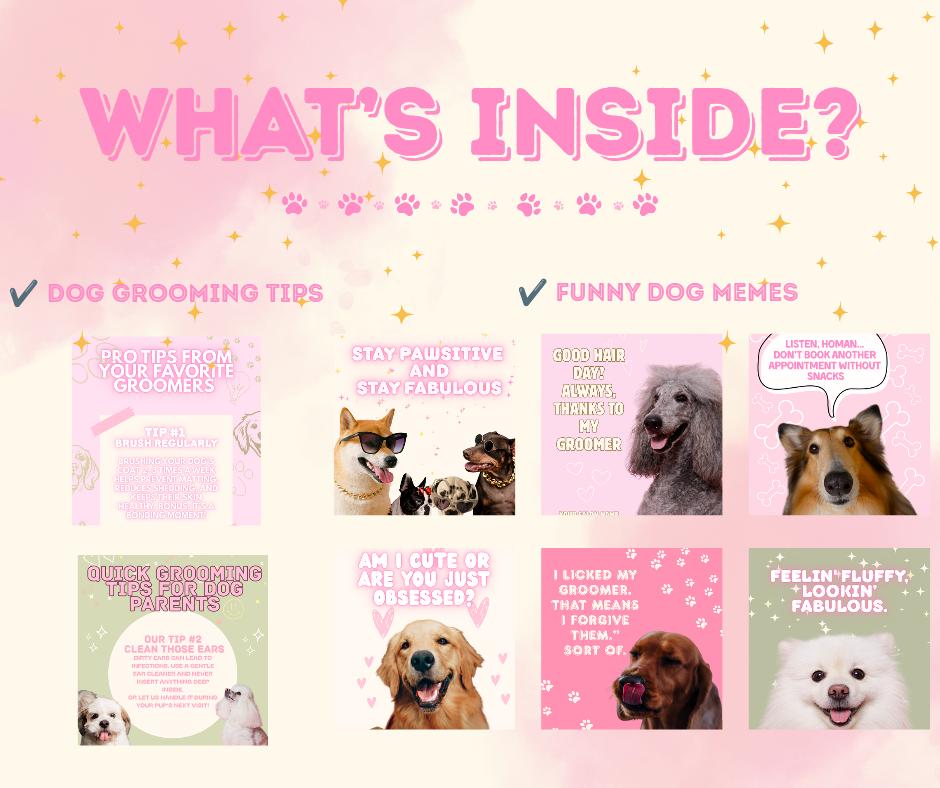 Dog Grooming Marketing Templates – 50 Instagram Canva Posts – Social ...