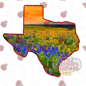Texas Wildflowers at Sunset Digital Download High Resolution PNG