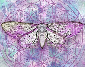 Wall Art Fine Art Print Flower of Life Metatron's Cube Butterfly Moth Chrysalis Sacred Geometry Ethereal Artwork Decor Gift Idea Purple Hues