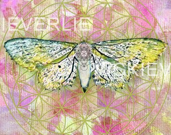 Wall Art Fine Art Print Flower of Life Metatron's Cube Butterfly Moth Chrysalis Sacred Geometry Ethereal Artwork Decor Gift Idea Pink Golden