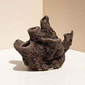 Può includere: Una scultura in ceramica porosa marrone scuro con molteplici aperture tubolari e una superficie irregolare e strutturata. La forma organica poggia su una superficie bianca, con uno sfondo neutro. Il design della scultura ricorda una struttura naturale e usurata.