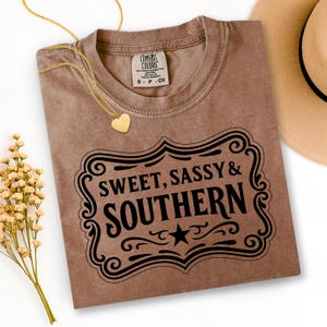 May include: A brown t-shirt with the text "SWEET, SASSY & SOUTHERN" in a black decorative frame. A gold heart-shaped pendant necklace and a beige hat are also visible. The shirt has a Comfort Colors tag.