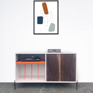 Whitewater Record Cabinet - Solid Maple - White Wash Finish - Walnut Door