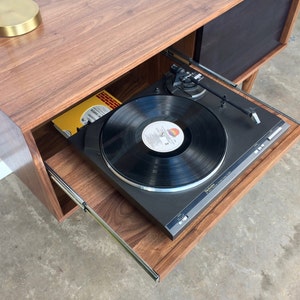 Whitewater Record Cabinet with Pull-out Shelf - Solid Walnut - Ebony Door