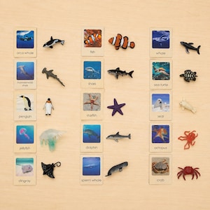 Montessori Ocean Matching Set – 15 Sea Animal Figurines with Cards