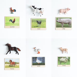 Toddler Farm Animal Matching Set | Montessori Language Learning