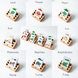 May include: Educational wooden toy set with cards illustrating leaves, flowers, plants, birds, fish, mammals, reptiles, and amphibians. Each set of cards is in a wooden holder with the subject's name.