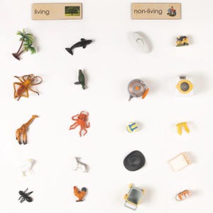 Living vs Non-living Sorting Activity - Montessori Culture Classification Set
