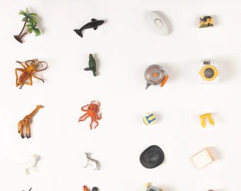 Living vs Non-living Sorting Activity - Montessori Culture Classification Set
