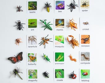 Montessori Animal Matching Set – 7 Habitat-Based Zoology Classification with Figurines and Cards