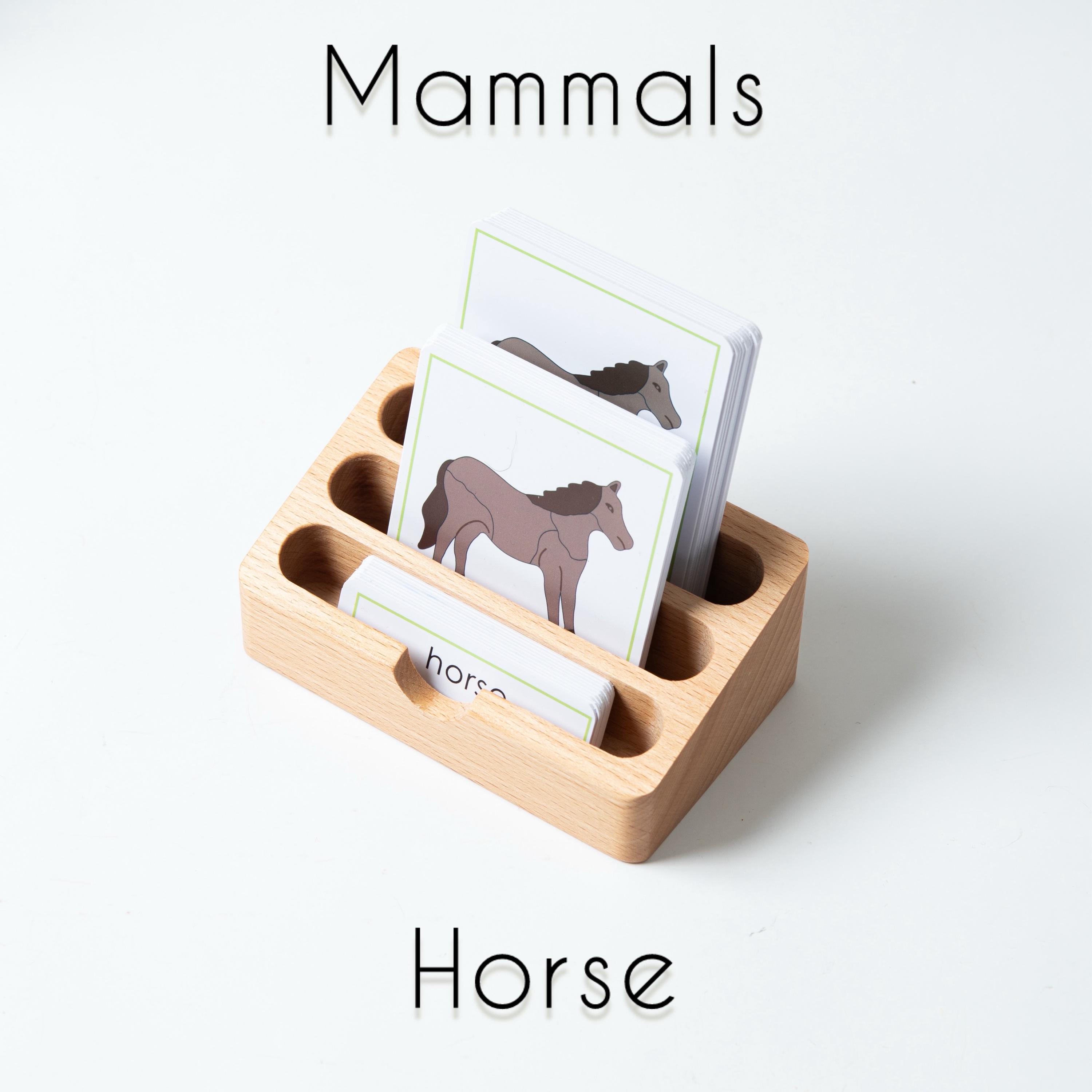 Montessori Botany Zoology Cards | 3-part Nomenclature Set - Etsy