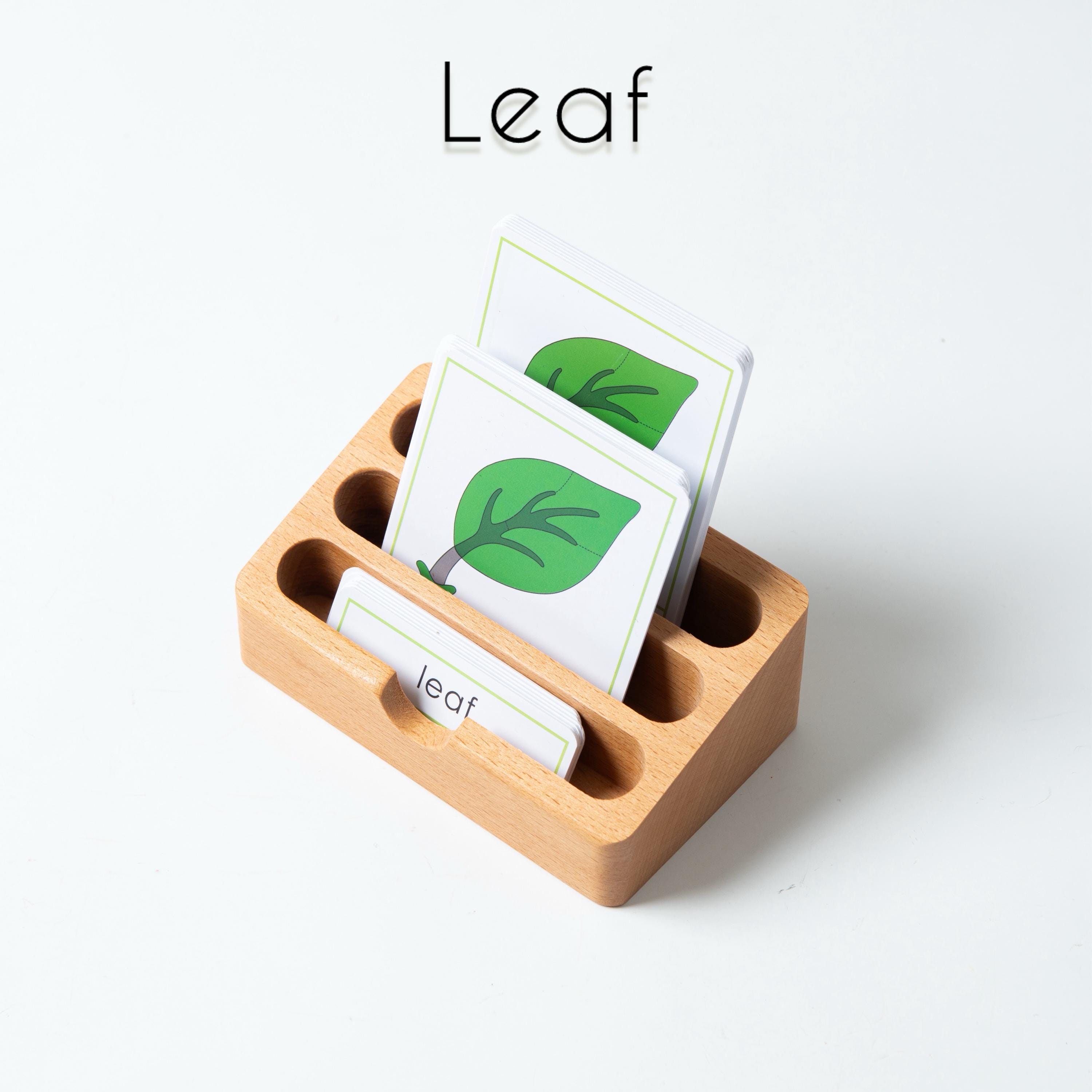 Montessori Botany Zoology Cards | 3-part Nomenclature Set - Etsy