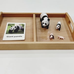 May include: A wooden tray with a card labeled "Giant panda" and several panda figurines. The figurines include a large panda, a smaller panda, and two miniature animals. The tray has handles on each side.