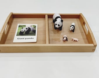 Puede incluir: Una bandeja de madera con una tarjeta con la leyenda "Giant panda" y figuras de pandas. Las figuras incluyen un panda grande, un panda más pequeño y dos animales en miniatura. La bandeja tiene asas a cada lado.