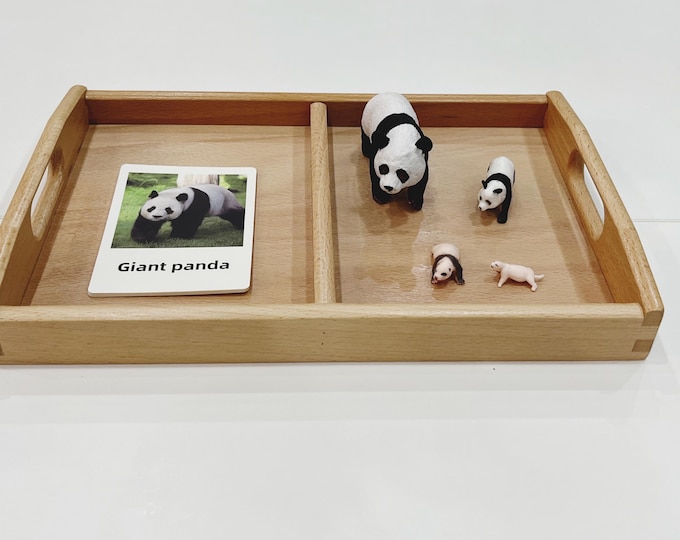 Montessori Wooden Tray with Divider – 2 Compartment Activity Tray