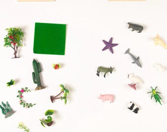 Plants vs Animals Sorting Activity - Montessori Culture Classification Set