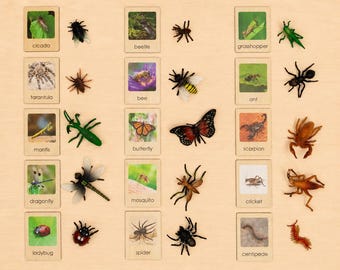 Montessori Insects Matching Set – 15 Figurines with Cards