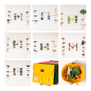 May include: A collection of educational toys featuring miniature animal figurines and continent maps. The set includes a yellow felt storage container and individual displays for Africa, Antarctica, Asia, Australia, Europe, North America, and South America.