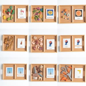 Montessori Classification Set – 3-Part Nomenclature Cards (Classified Cards) with Mini Objects
