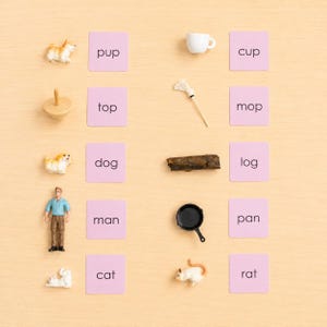 May include: An educational matching set featuring ten light purple square cards with black text including pup, top, dog, man, cat, cup, mop, log, pan, and rat, paired with corresponding miniature figurines of a dog, spinning top, dog, man, cat, cup, mop, log, pan, and rat.