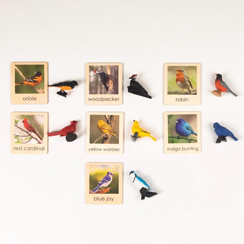 Backyard Birds Sorting Activity for Toddlers - Montessori Animals ...