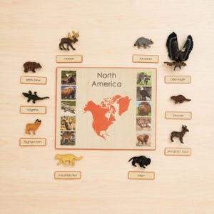 Montessori Animals of the Seven Continents - Culture and Geography Classification