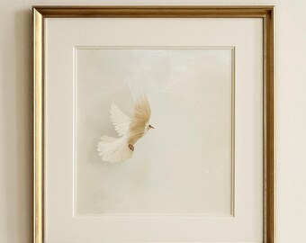 Pintura al óleo de paloma blanca: arte de aves neutras, decoración minimalista (descarga digital, 5 tamaños incluidos)