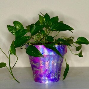 May include: A vibrant, iridescent purple and pink painted flower pot holds a lush green plant with heart-shaped leaves. The pot's surface has a textured, marbled appearance, adding visual interest to the home decor item.