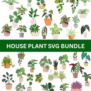 Puede incluir: Una colección de varias plantas de interior en macetas de diferentes formas y tamaños. Las plantas están en una variedad de macetas, incluyendo terracota, cerámica y macetas colgantes. El texto "HOUSE PLANT SVG BUNDLE" se muestra en blanco sobre un fondo verde.